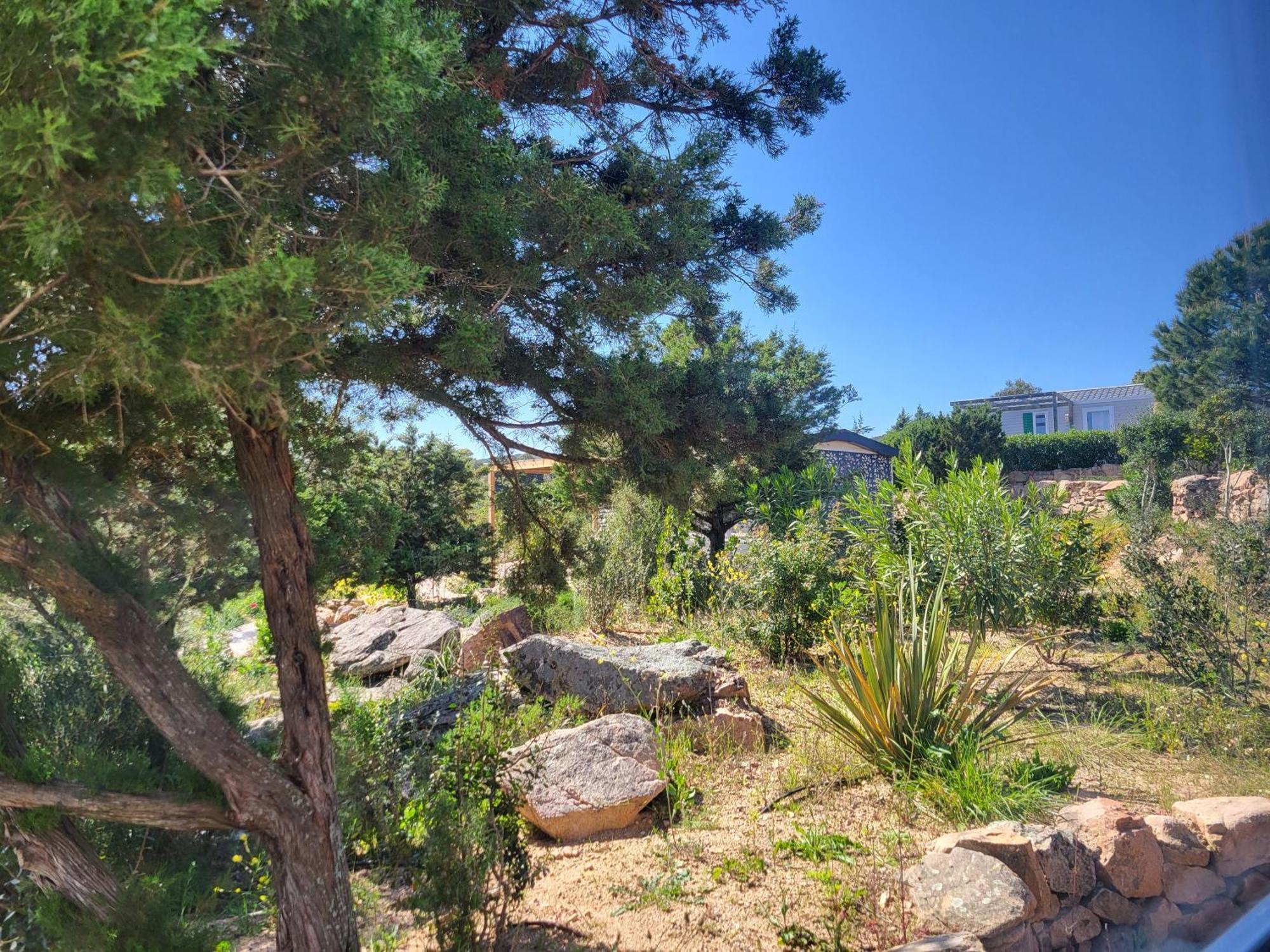 Camping Rondinara Bonifacio  Buitenkant foto